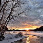 Übergänge verstehen und gestalten - Nachmittag mit Feldenkrais und Gestaltarbeit